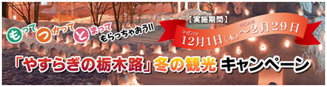 �u�₷�炬�̓ȖؘH�v�~�̊ό��L�����y�[��